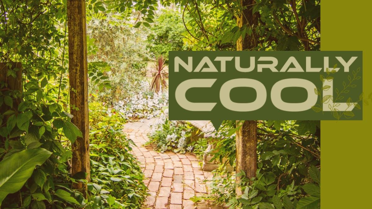 Making your house naturally cooler